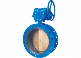 Flange-Centerline-Butterfly-Valve-2